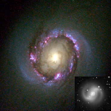 Refer to caption
