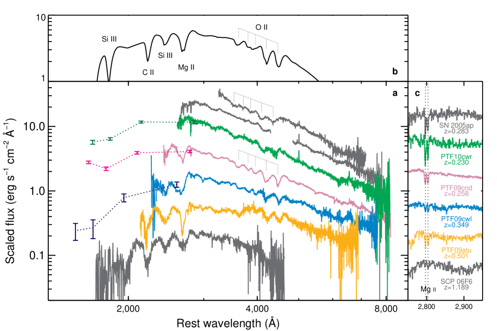 Refer to caption