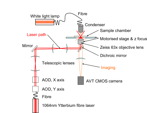 Refer to caption