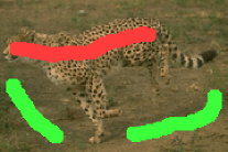 Refer to caption