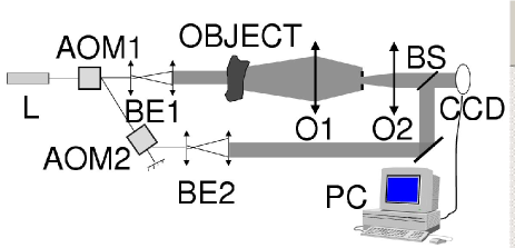 Refer to caption