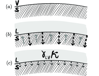 [1211.3854] Why is surface tension a force parallel to the interface?