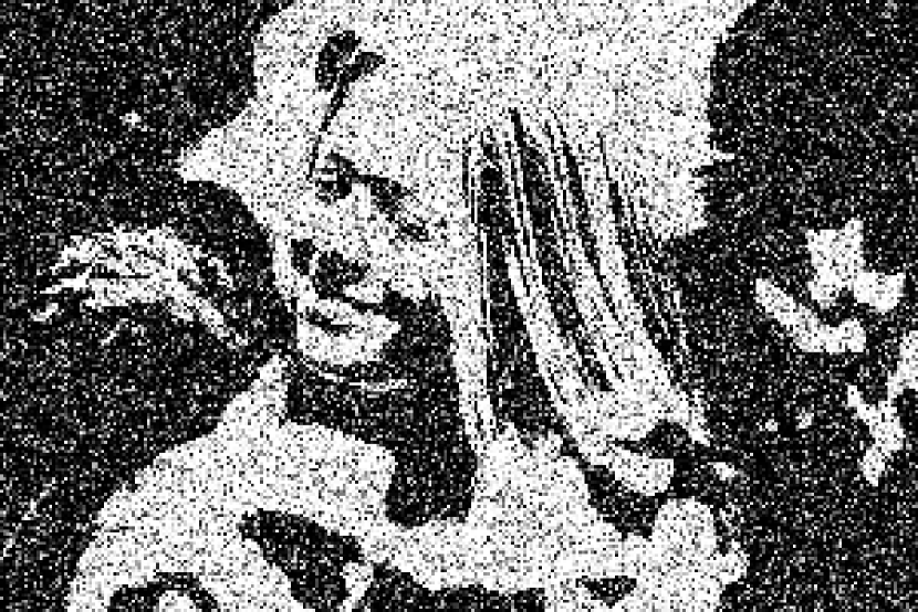 Refer to caption