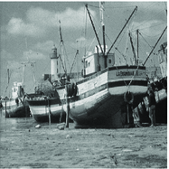Refer to caption
