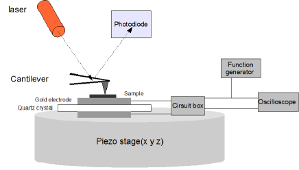 Refer to caption