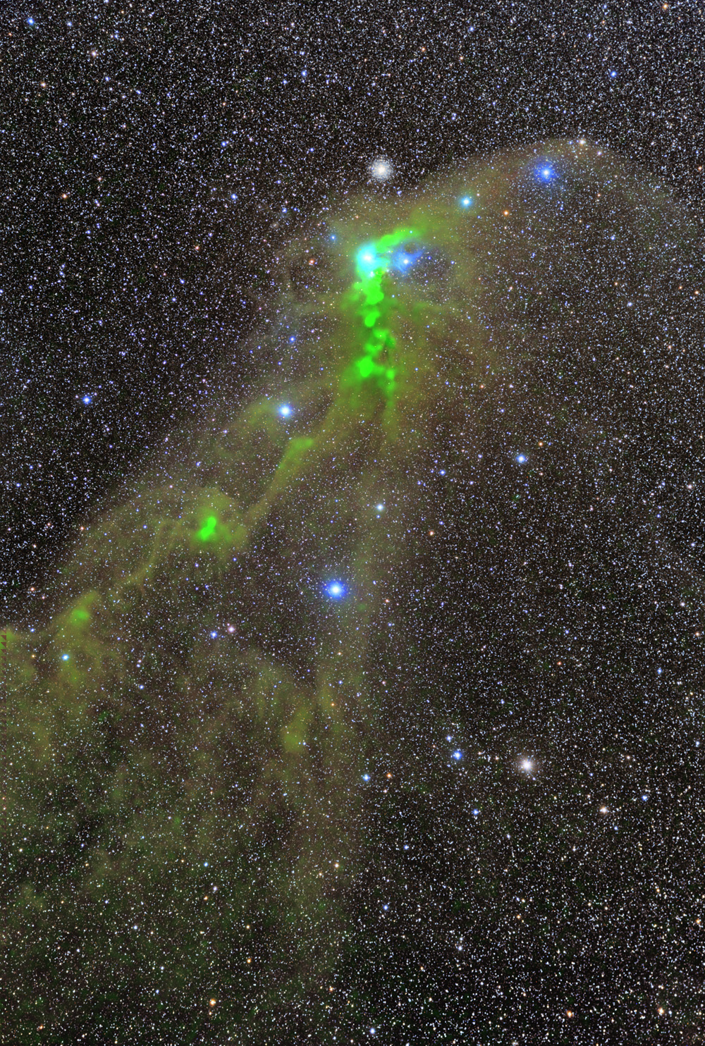Refer to caption
