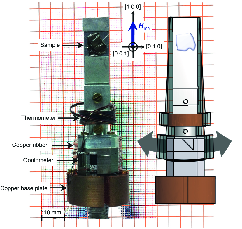 Refer to caption
