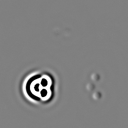 Refer to caption