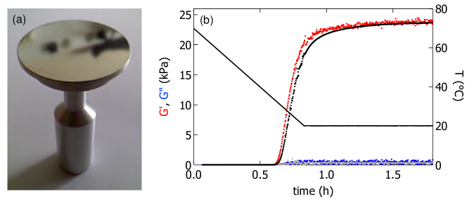 Refer to caption
