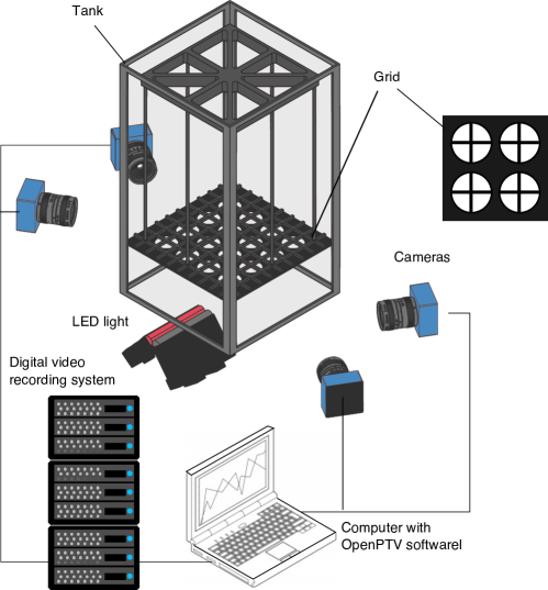 Refer to caption