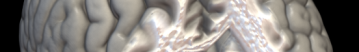 [Uncaptioned image]