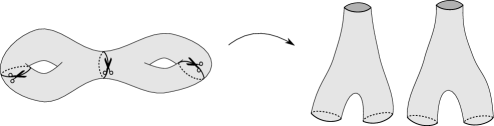 [Uncaptioned image]