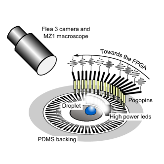 Refer to caption