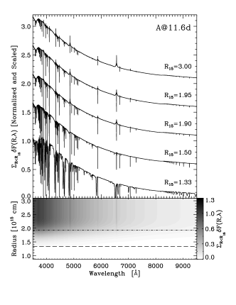 Refer to caption