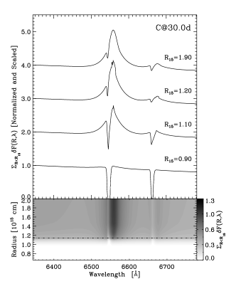 Refer to caption