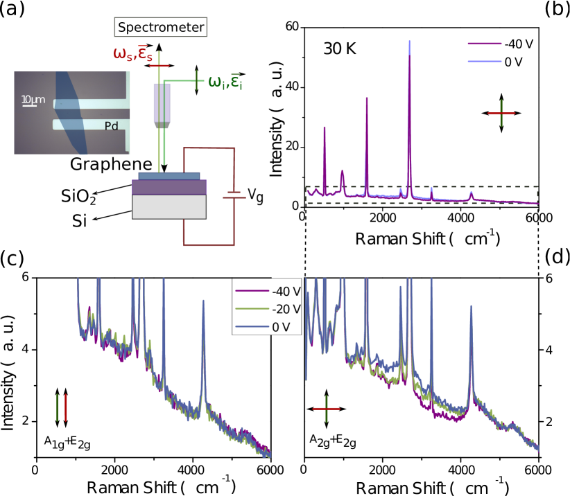 [1602.04313] Gate dependent electronic Raman scattering in graphene