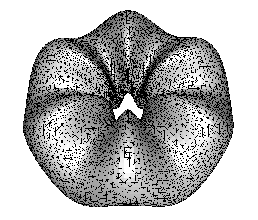 Refer to caption