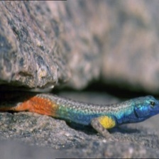 Refer to caption