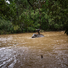 Refer to caption