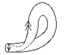 [Uncaptioned image]