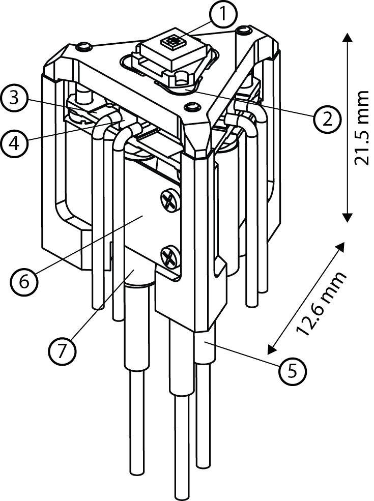 Refer to caption