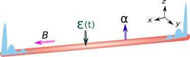 Refer to caption