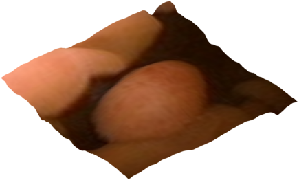Refer to caption