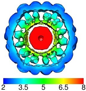 Refer to caption