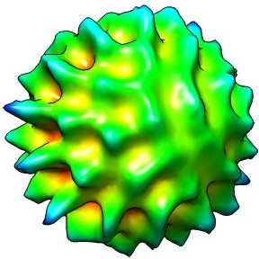 Refer to caption