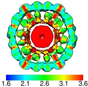 Refer to caption