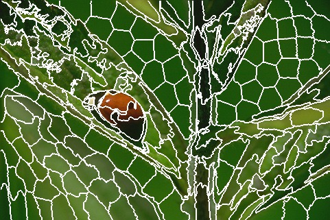 Refer to caption