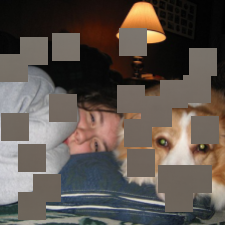 Refer to caption