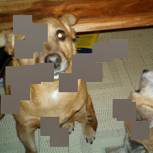 Refer to caption