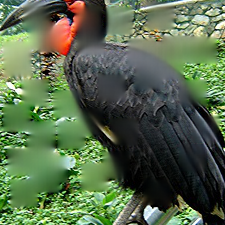 Refer to caption