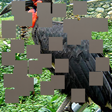 Refer to caption