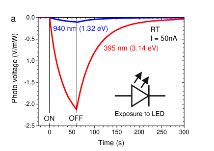 Refer to caption