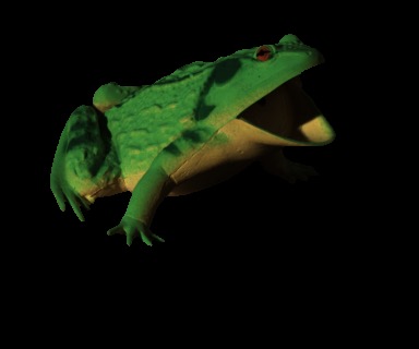 Refer to caption