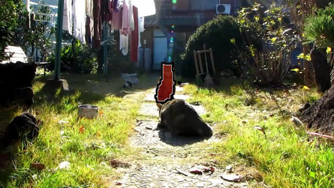 Refer to caption
