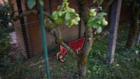 Refer to caption