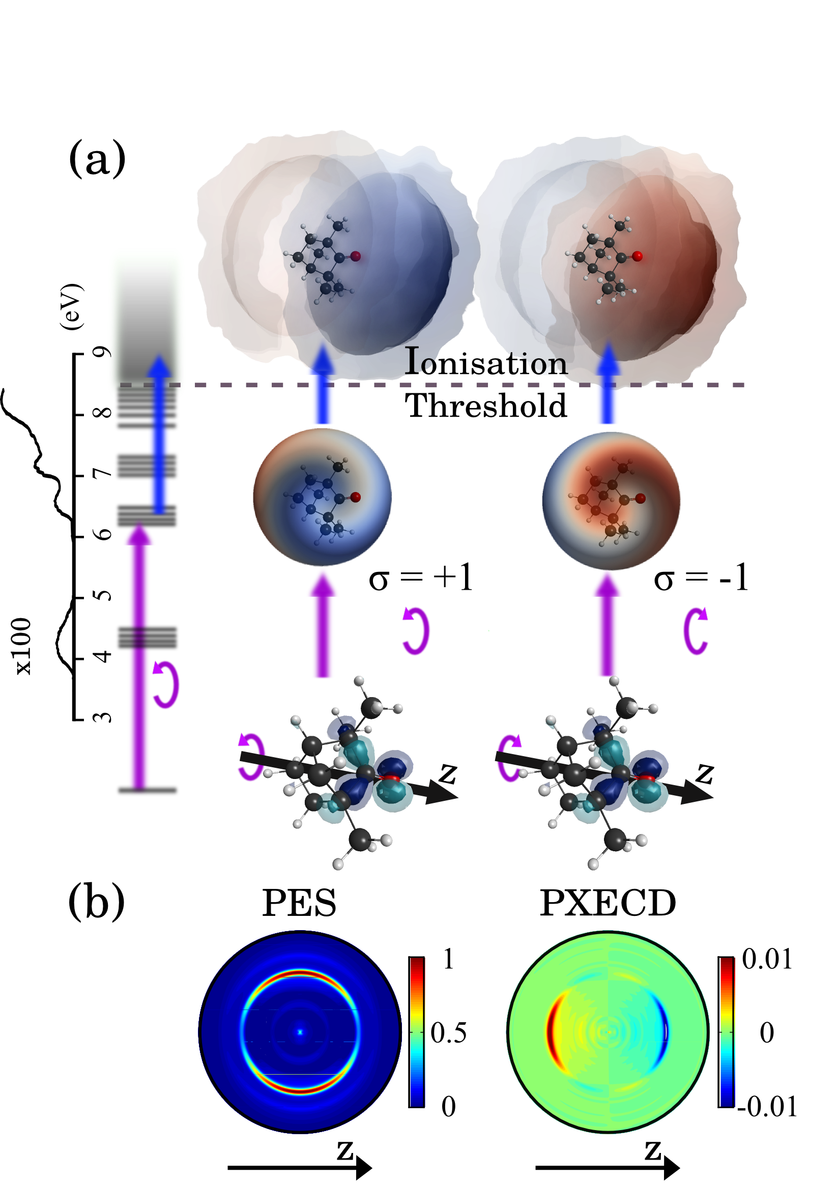 [1612.08764] Photoexcitation Circular Dichroism in Chiral Molecules