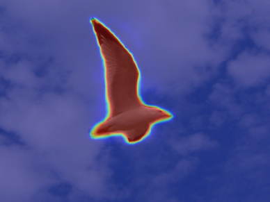 Refer to caption