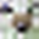 [Uncaptioned image]
