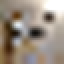 [Uncaptioned image]