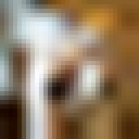 [Uncaptioned image]