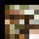 [Uncaptioned image]