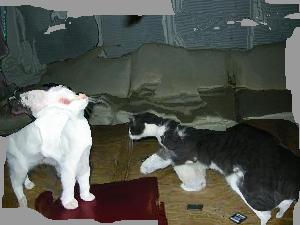 Refer to caption