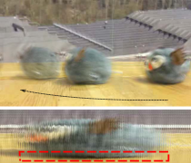 [Uncaptioned image]