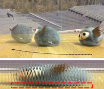 [Uncaptioned image]