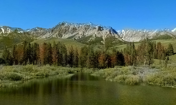 Refer to caption
