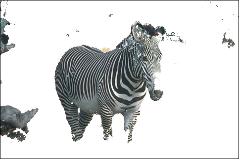 Refer to caption